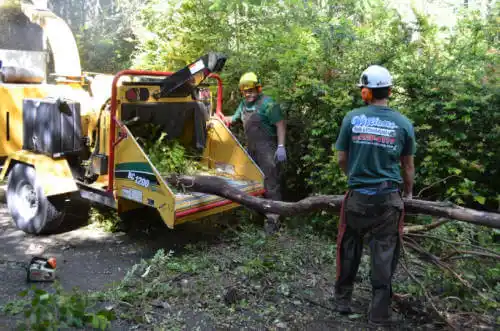 tree services Aviston